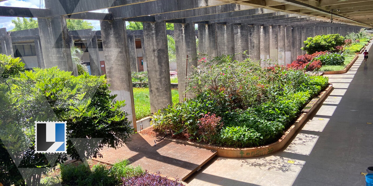 Precatório contra universidade federal: venda segura