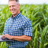 Desenrola Rural PGFN com análise para proteger caixa rural